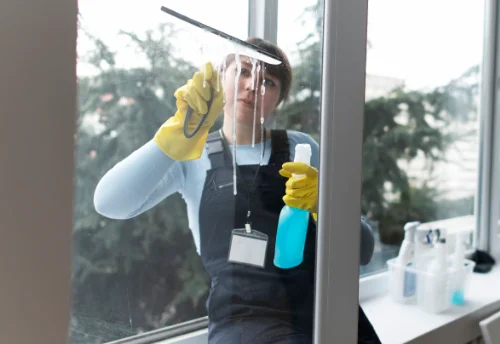 Nettoyage de vitres intérieures et extérieures à Saulzais-le-Potier